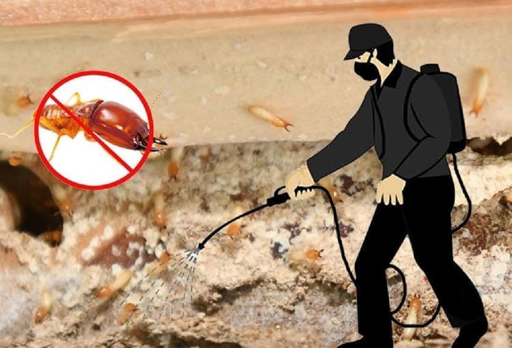 termite-pest-control-service.jpeg